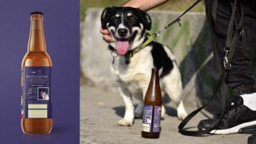 Psy szukają domu na butelkach piwa