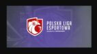 Sześć powodów, dla których warto zostać partnerem Polskiej Ligi Esportowej