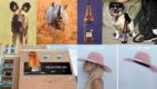 Suszonki miesiąca: top 20 kreacji października 2019