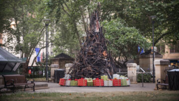 The Burnt Christmas Tree: Ta nietypowa choinka symbolizuje szkody, jakie ponieśli Australijczycy w potężnych pożarach