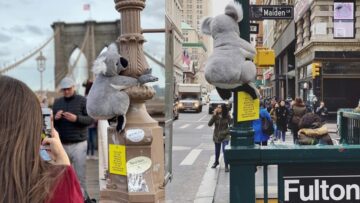 Pluszowe koale w Nowym Jorku – outdoorowa akcja zachęca do wspierania poszkodowanych w pożarach zwierząt