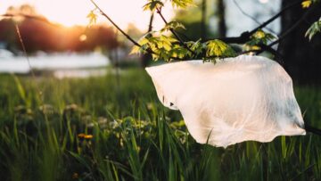 Wałbrzych wprowadza zakaz używania i sprzedaży plastikowych toreb