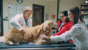 By podziękować weterynarzom, którzy uratowali jego psa, właściciel wykupił reklamę na Super Bowl