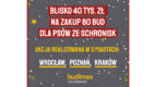 Budimex Nieruchomości kupi 80 bud dla psów ze schronisk