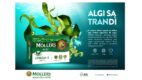 Meetrics rozpoczyna obsługę firmy Orkla Care w zakresie pomiarów jakości powierzchni reklamowej online