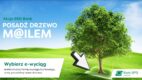 Rusza nowa kampania Banku BSP pod hasłem „Posadź drzewo m@ilem”
