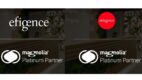 Artegence i Efigence z prestiżowym tytułem Platynowego Partnera Magnolia CMS