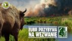 Żubr wspiera w potrzebie Biebrzański Park Narodowy