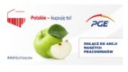 Rusza nowa kampania PGE „Polskie – kupuję to!”