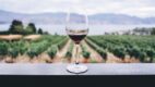 Agencja Brand Bridge wygrała przetarg na obsługę Wine of Moldova