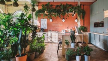 IKEA otworzyła w Szczecinie roślinny, proekologiczny „Dom Jutra”