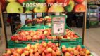 Lewiatan promuje lokalność i polskie produkty
