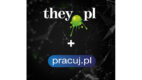 They.pl z obsługą Pracuj.pl w zakresie content marketingu