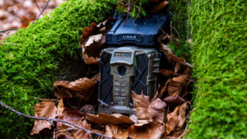 W gdyńskich lasach umieszczono fotopułapki, które pomagają karać osoby zaśmiecające tereny zielone