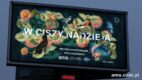 #NieStrzelamPomagam – AMS zachęca do rezygnacji z głośnych wystrzałów w Sylwestra z myślą o zwierzętach