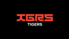 Agencja Social Tigers zamienia się w Tigers