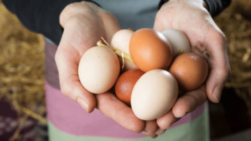 Kaufland chce wycofać jaja z chowu klatkowego
