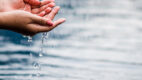 Nestlé Waters planuje osiągnąć pozytywny wpływ na zasoby wodne poprzez regenerację lokalnych obiegów wody