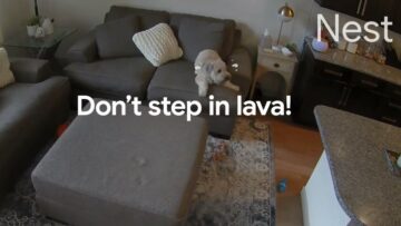 Kampania Google Nest pokazuje, co robią zwierzaki, gdy ich właścicieli nie ma w domu