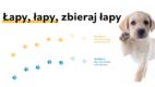 Stalexport Autostrada Małopolska łączy siły z youtuberami, aby wspierać schroniska dla zwierząt
