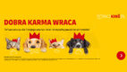 DHL Parcel pomaga bezdomnym zwierzakom w ramach akcji „Dobra karma wraca”