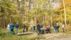 Pracownicy Lajkonika posadzili rośliny w strefie ekotonu oraz aleję lipową w Nadleśnictwie Krzeszowice