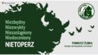 Fundusz Żubra zachęca do polubienia nietoperzy