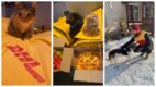 Rekordowy finał akcji DHL „Dobra karma wraca”