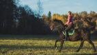 Czy jazda konna to sport? Co warto o niej wiedzieć?