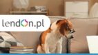 Wystartowała nowa kampania sprzedażowa marki Lendon.pl