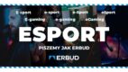 ERBUD i Gameset angażują środowisko esportowe w sprawę pisowni słowa „esport”