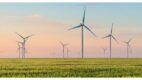 Sieć Lidl Polska przeszła w 100% na zieloną energię