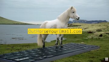 Islandia zachęca turystów, aby oderwali się od pracy i powierzyli służbową pocztę… koniom