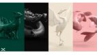 Dentsu tworzy globalną sieć kreatywną – dentsu Creative