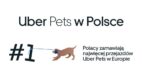 Jak podróżujemy z pupilami? Usługa Uber Pets chętnie wybierana przez Polaków