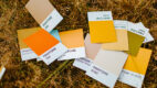 Pantone wybrał kolory na sezon wiosna-lato 2023