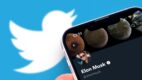 Czy Twitter okaże się digitalową rybą fugu?