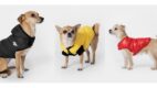 Marka 4F stworzyła pierwszą kolekcję upcylingową pod hasłem „Upcycled jackets. Dog approved”