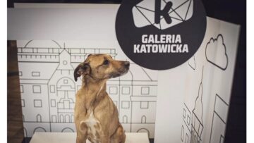 Na zakupy z psem. W Galerii Katowickiej powstał Dogbar, czyli specjalna strefa dla czworonogów
