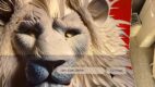 Dzień 1. na Cannes Lions International Festival of Creativity 2023