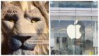 Dzień 4. na Cannes Lions International Festival of Creativity 2023