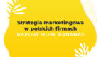 Czy polskie firmy posiadają strategię marketingową?