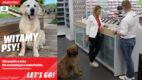 MediaMarkt zaprasza na zakupy z psem