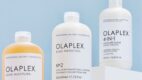 Olaplex walczy z kulturą podróbek na TikToku