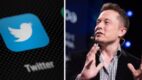Elon Musk przedstawił nadchodzące pakiety subskrypcji premium X