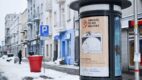 Zwierzę to nie prezent na święta – przypomina stowarzyszenie „Nadzieja na dom” w najnowszej kampanii