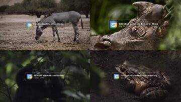 WWF alarmuje i dodaje daty wyginięcia kilkunastu gatunków zwierząt do kalendarza Google