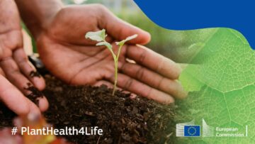 EFSA: Kampania #PlantHealth4Life w tym roku prowadzona będzie także w Polsce