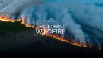 #FollowingWildfire: AI skanuje zdjęcia w social mediach i pomaga wykryć zagrożenie pożarowe
