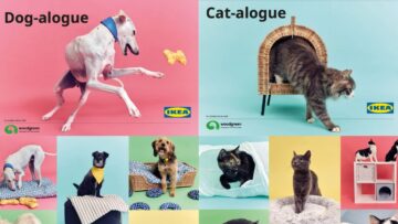 Zwierzęta ze schroniska głównymi bohaterami katalogów „Cat-alogue” i „Dog-alogue” od sieci IKEA
